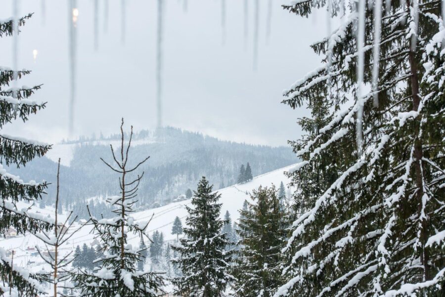 Територія (зима)